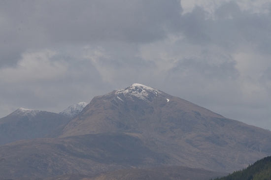 IMG_6636.jpg
